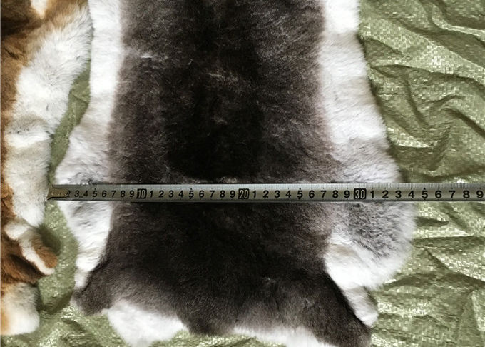 Weißer flaumiger Haare Rex-Kaninchen-Haut-Pelz versteckt warmes Comfortbale für Kleider